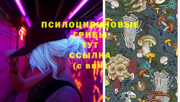 герыч Балахна