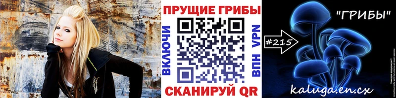 Псилоцибиновые грибы Psilocybe  магазин продажи   Белозерск 